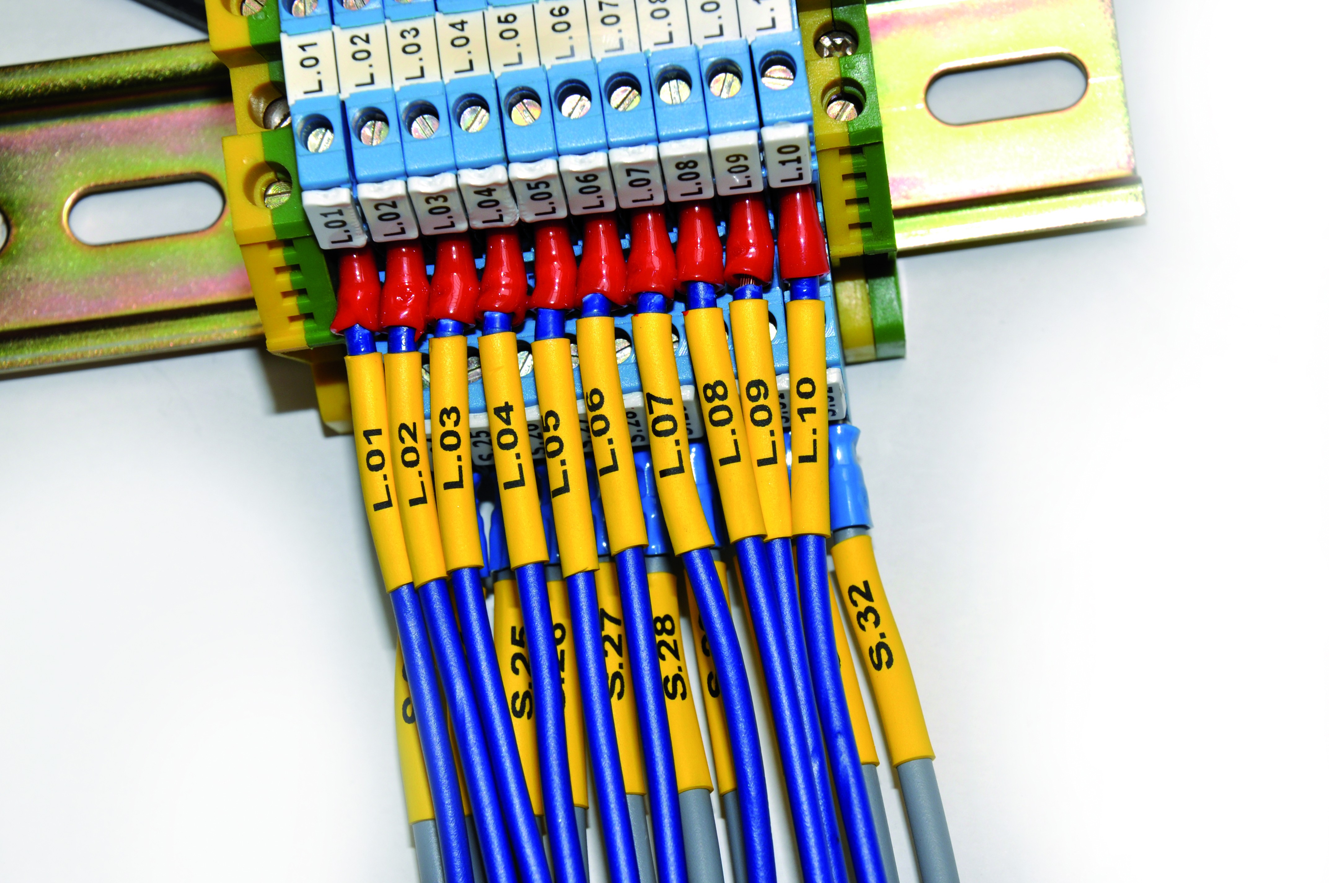 Termo Roll Apply 2
