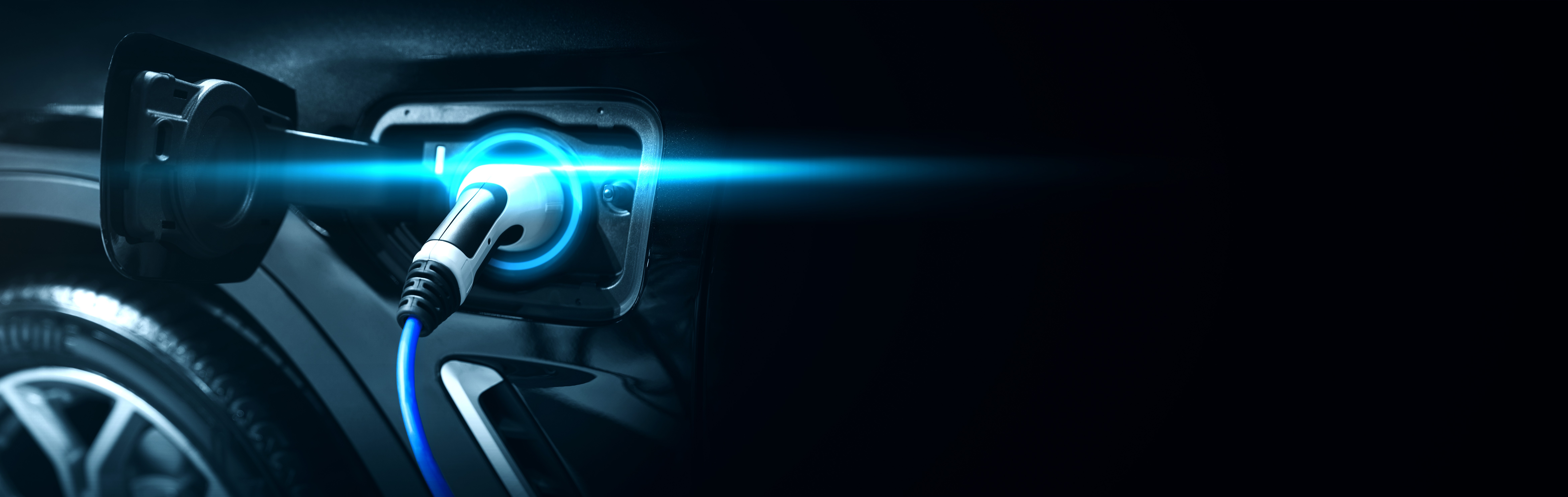 Adobestock 447006459